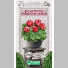 Примула Либре Счастье Мое