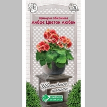 Примула Либре Цветок Любви