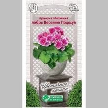 Примула Либре Весенний Поцелуй