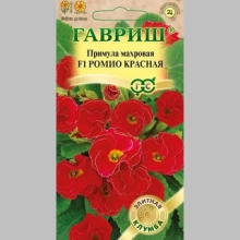 Примула Ромио красная F1 махровая