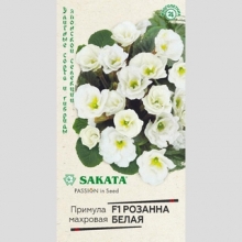 Примула Розанна белая F1 махровая