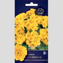 Примула Вивьен F1 (бесстебельная)