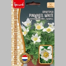 Прострел Pinwheel White (большой пакет)