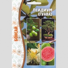 Псидиум (Гуава) Бонсай (большой пакет)