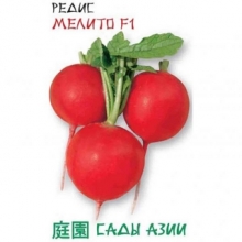Редис Мелито F1