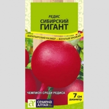 Редис Сибирский Гигант