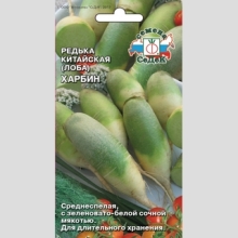 Редька Харбин (лобо)