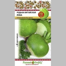 Редька Лоба китайская