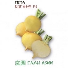 Репа Коганэ F1