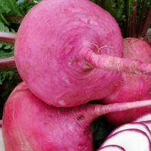 Репа Красно солнышко F1 Японская  (Вкуснятина)