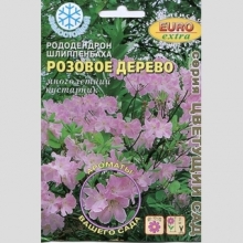 Рододендрон Розовое дерево шлиппенбаха