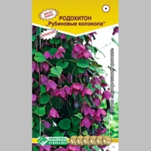 Родохитон Рубиновые Колокола