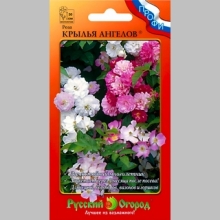 Роза Крылья Ангелов