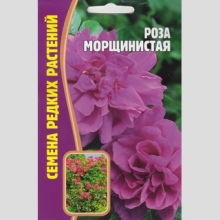 Роза Морщинистая (большой пакет)