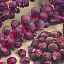 Капуста Рубиновые Бусы