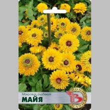 Рудбекия Майя