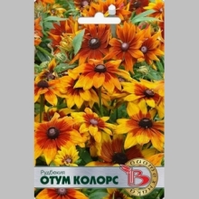 Рудбекия Отум Колорс