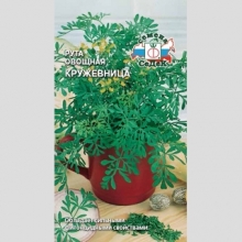 Рута Кружевница (овощная)