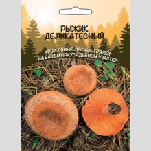 Грибы - Рыжик Деликатесный (мицелий) 30мл (большой пакет)