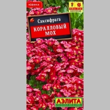 Саксифрага Коралловый мох (камнеломка)