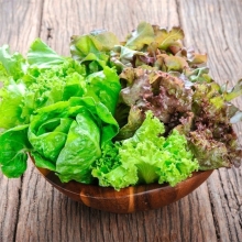 Смесь салатных культур Флорида