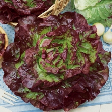 Салат Амальфи