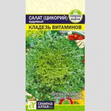 Салат Эндивий Кладезь Витаминов