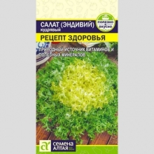 Салат Эндивий Рецепт Здоровья