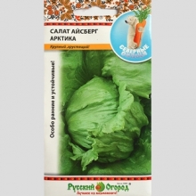 Салат Айсберг Арктика кочанный
