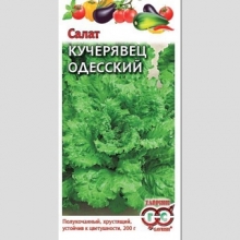 Салат Кучерявец Одесский