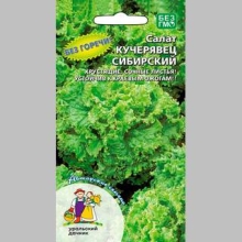 Салат Кучерявец сибирский