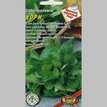 Салат Корн (полевой)