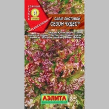 Салат Сезон чудес