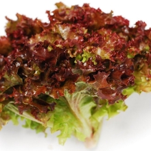 Салат Тоскана росса