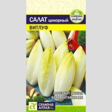 Салат Цикорий Витлуф