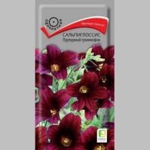 Сальпиглоссис Пурпурный граммофон (выемчатый)