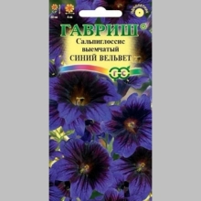 Сальпиглоссис Синий вельвет