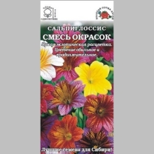Сальпиглоссис Смесь окрасок