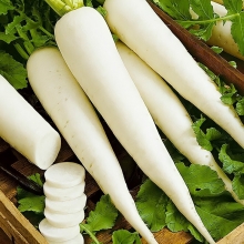 Дайкон Самурай