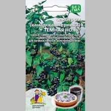 Санберри Тёмная ночь (Канадская черника)