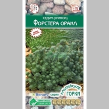 Седум Форстера Оракл