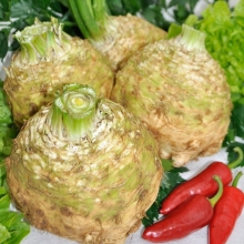 Сельдерей корневой Русский размер