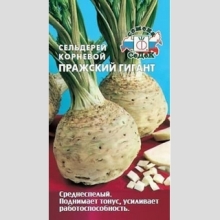 Сельдерей Пражский гигант (корневой)
