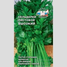Сельдерей Высокий (листовой)
