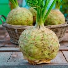 Сельдерей Северный банан (корневой)