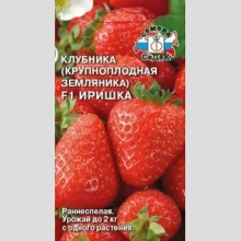 Земляника Иришка F1