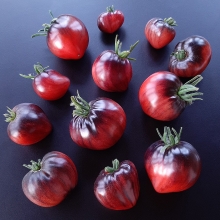 Томат Одинокое Сердце Сержанта Пеппера (большой пакет)