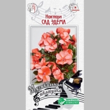 Бальзамин Ноктюрн Сад Эдема (новогвинейский)