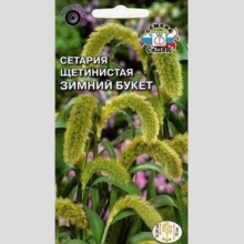 Сетария Зимний букет щетинистая