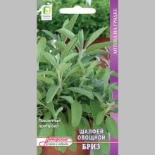 Шалфей Бриз (овощной)